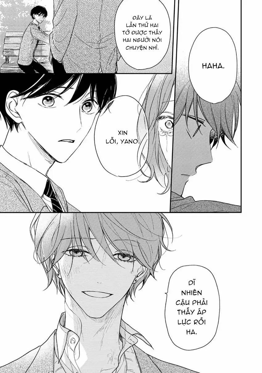 Pittosporum-Shino Makami 10 trang 3