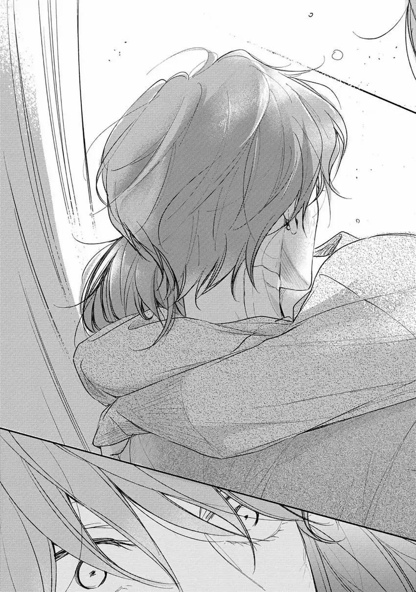 Pittosporum-Shino Makami 10 trang 31