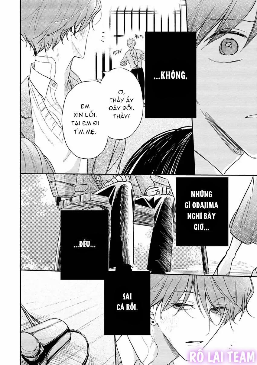 Pittosporum-Shino Makami 10 trang 4