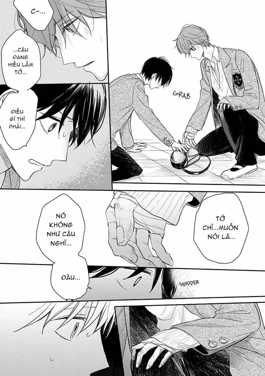 Pittosporum-Shino Makami 10 trang 5