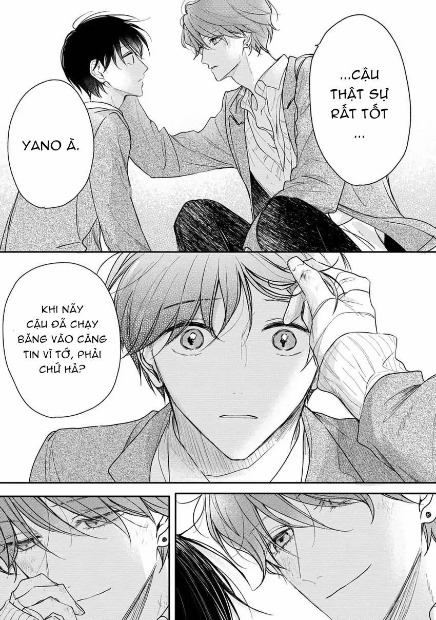 Pittosporum-Shino Makami 10 trang 7