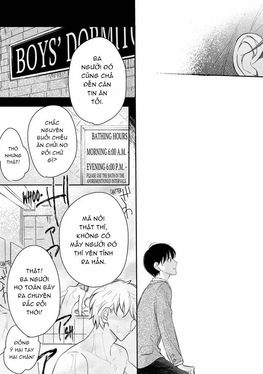 Pittosporum-Shino Makami 10 trang 9