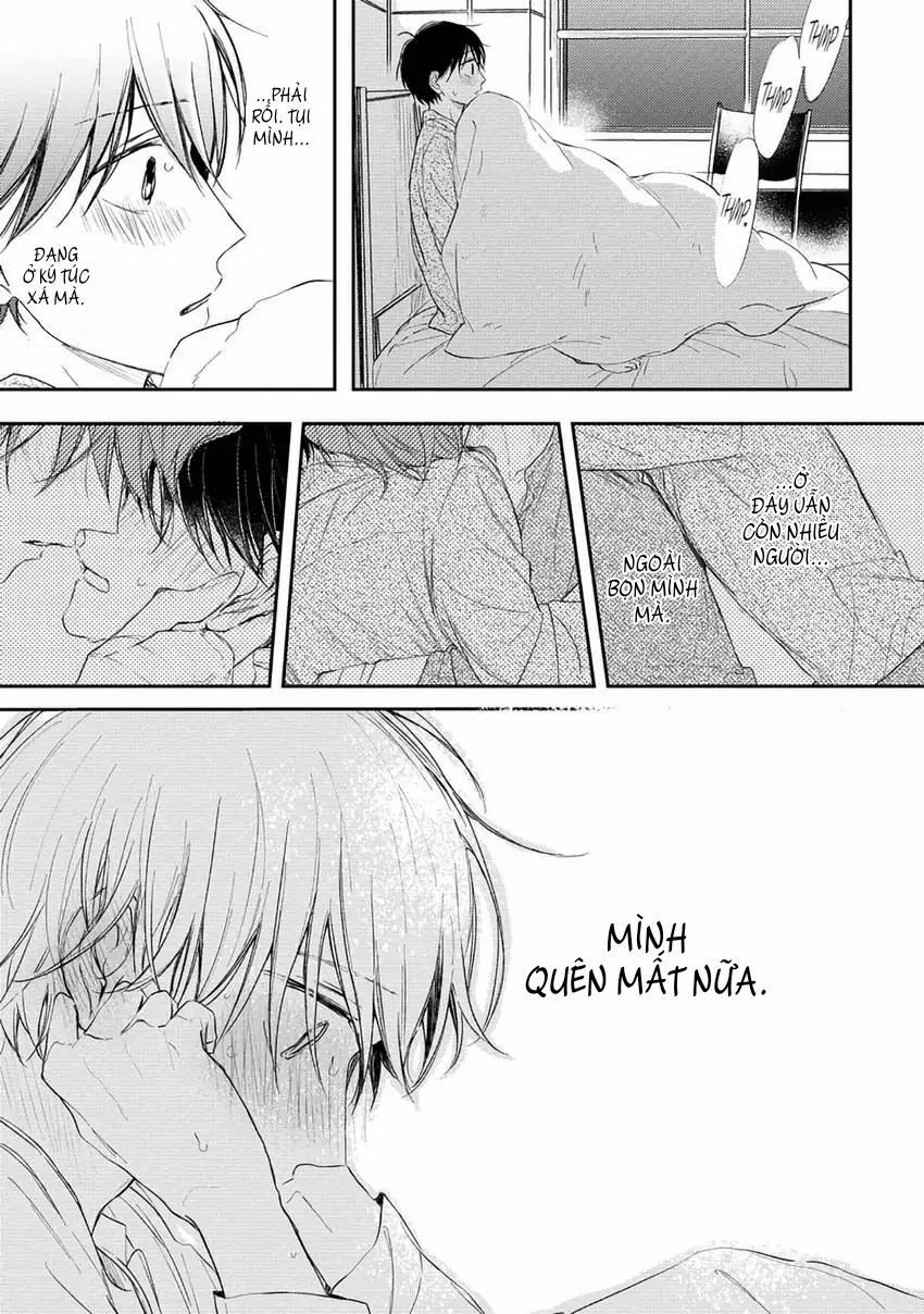 Pittosporum-Shino Makami 11 trang 27