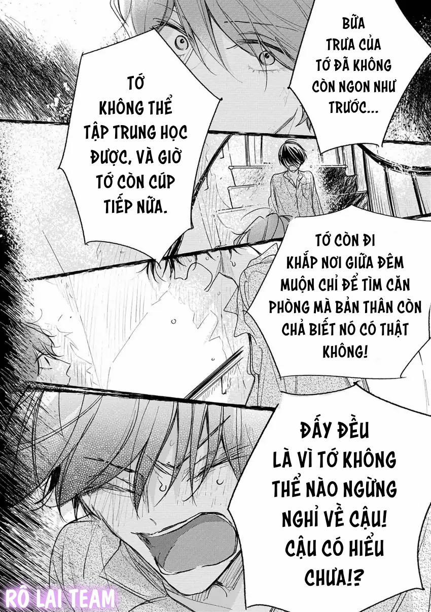 Pittosporum-Shino Makami 11 trang 8