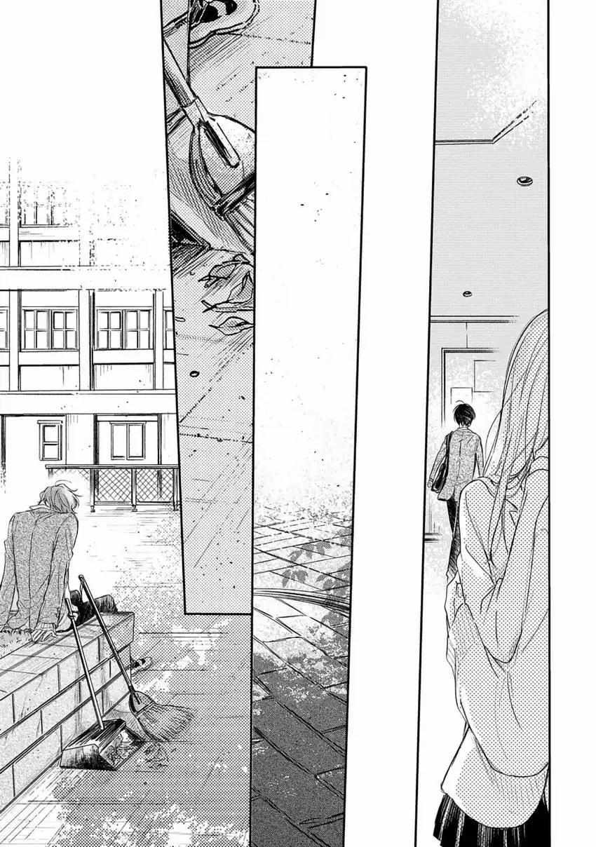 Pittosporum-Shino Makami 12 trang 17