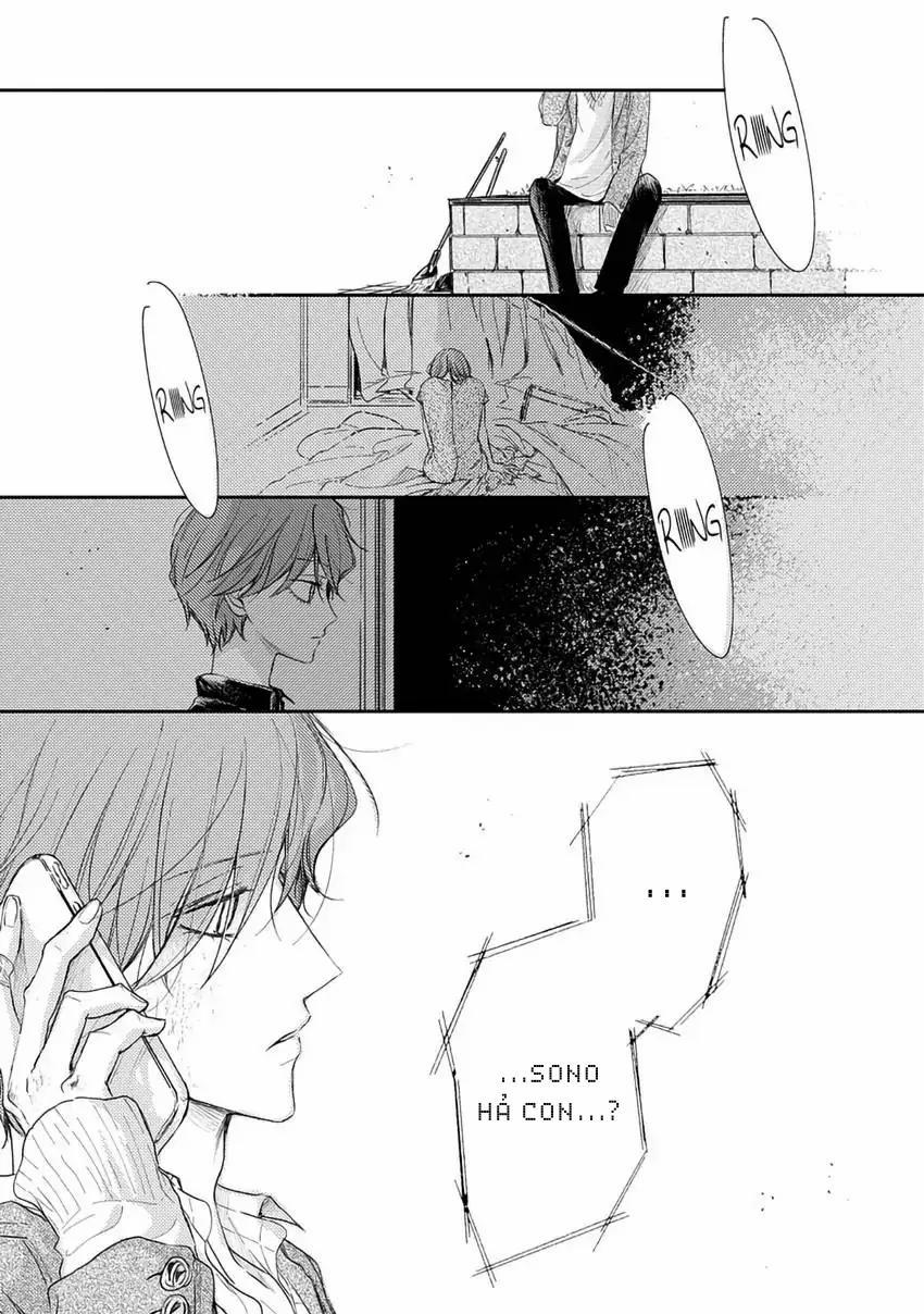 Pittosporum-Shino Makami 12 trang 19