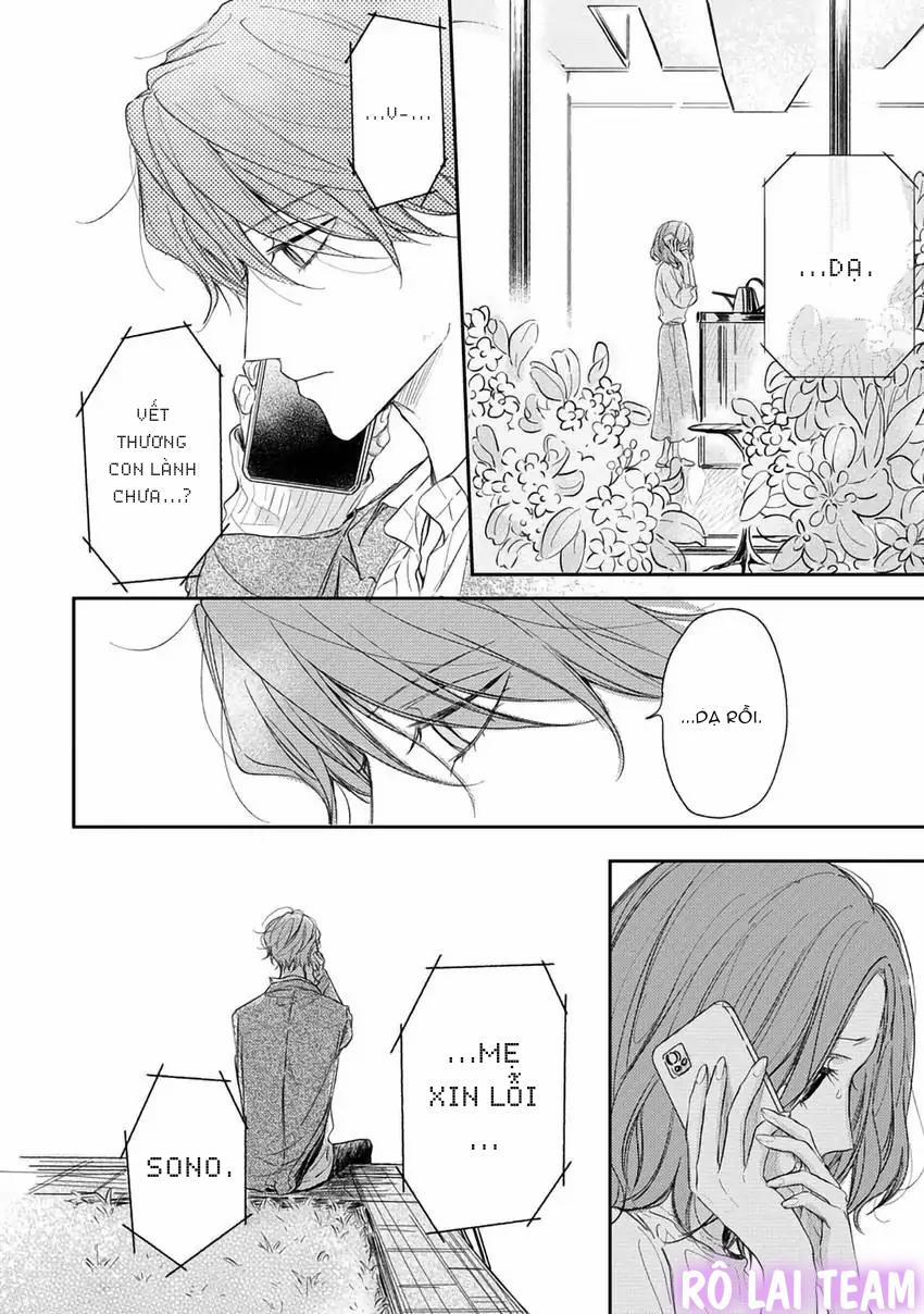 Pittosporum-Shino Makami 12 trang 20