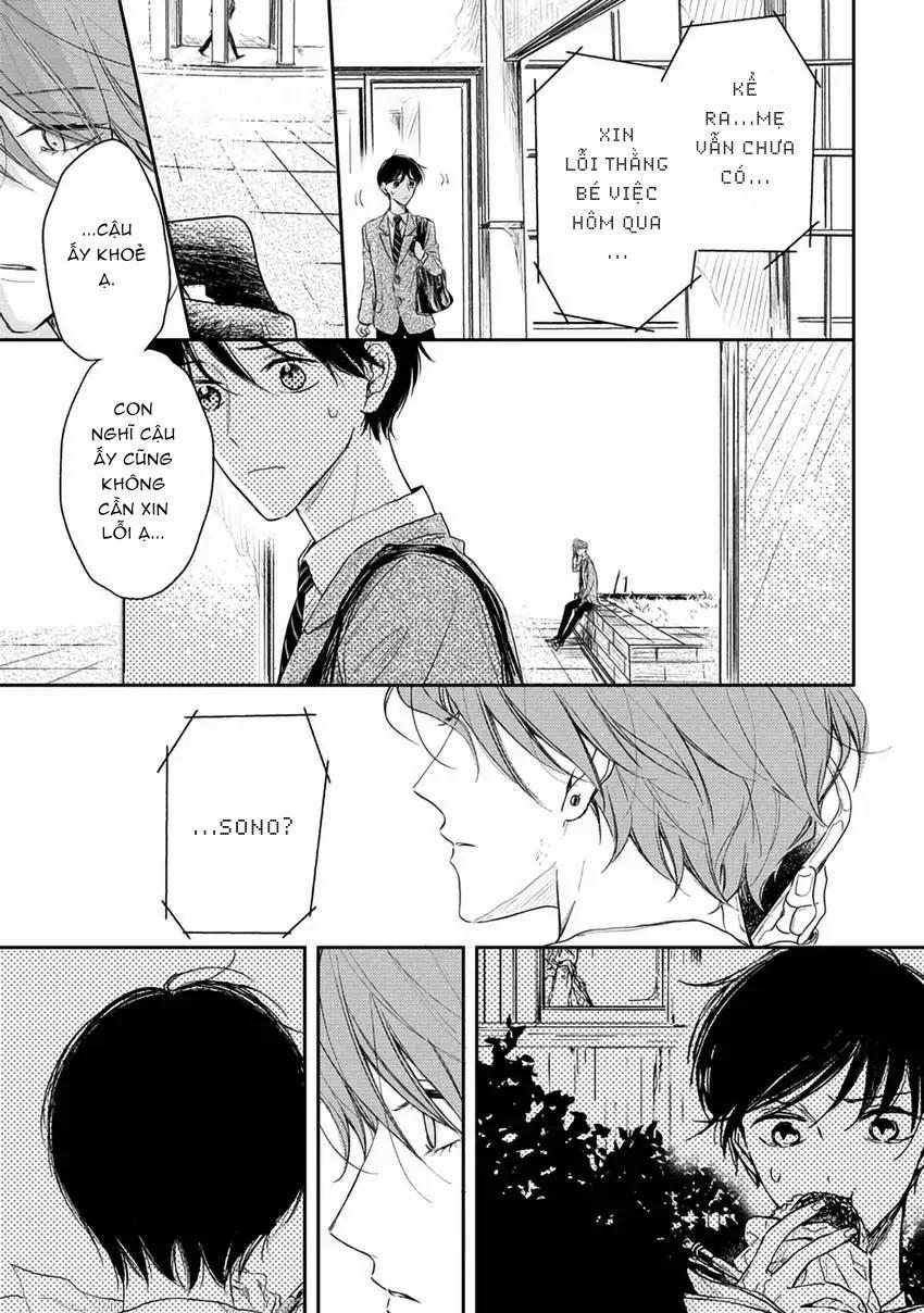 Pittosporum-Shino Makami 12 trang 23