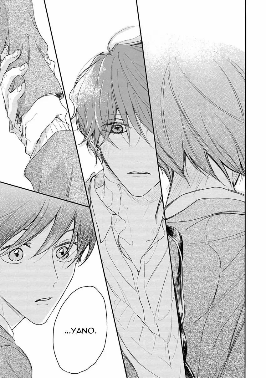 Pittosporum-Shino Makami 12 trang 9