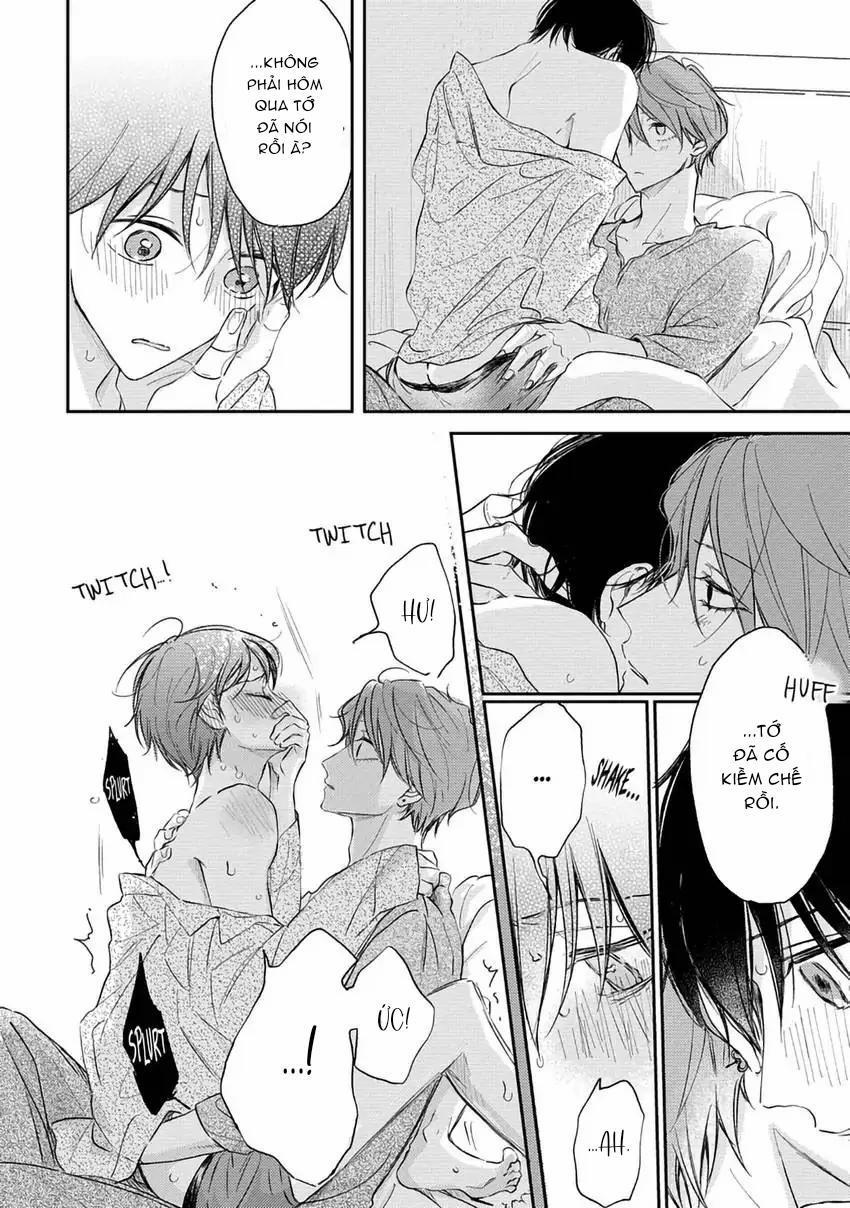 Pittosporum-Shino Makami 13 trang 13