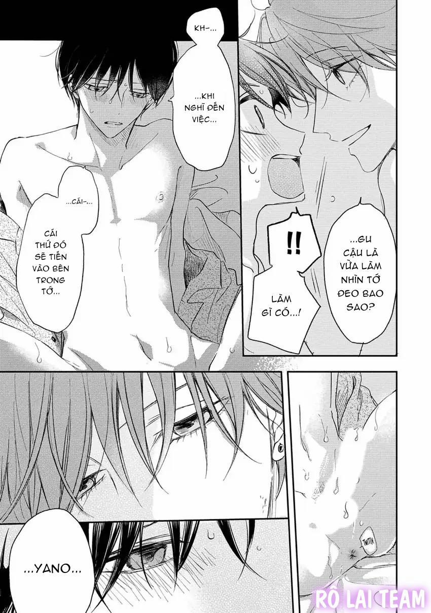 Pittosporum-Shino Makami 13 trang 16