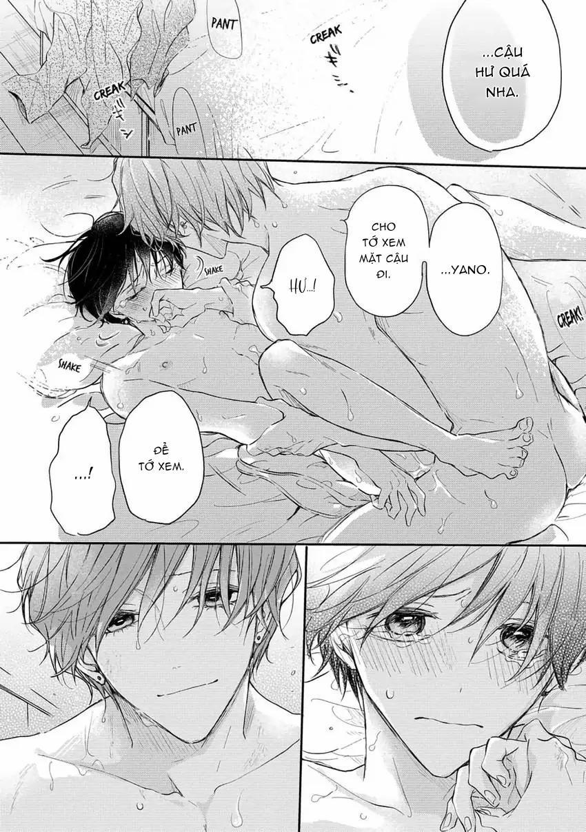 Pittosporum-Shino Makami 13 trang 17