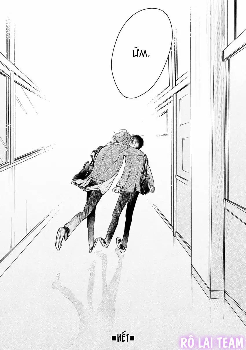 Pittosporum-Shino Makami 13 trang 24