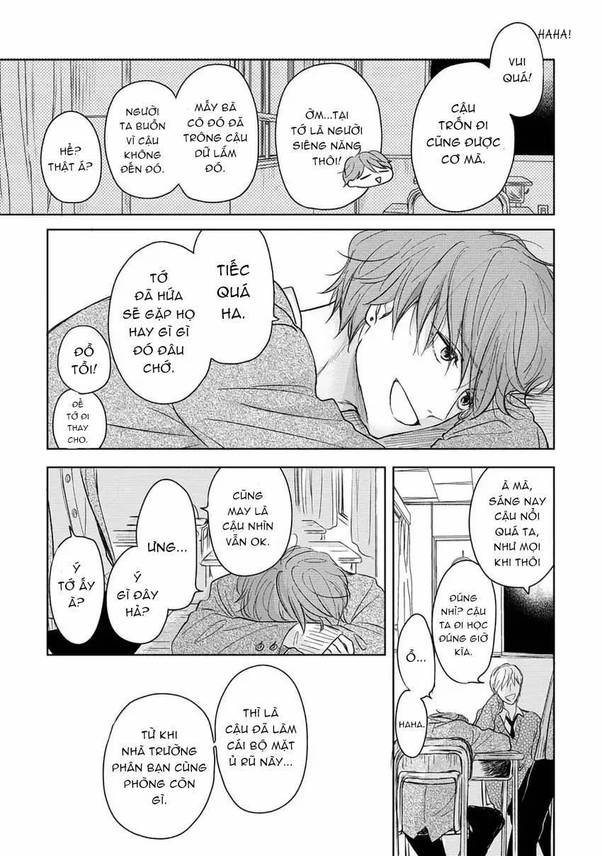 Pittosporum-Shino Makami 2 trang 12