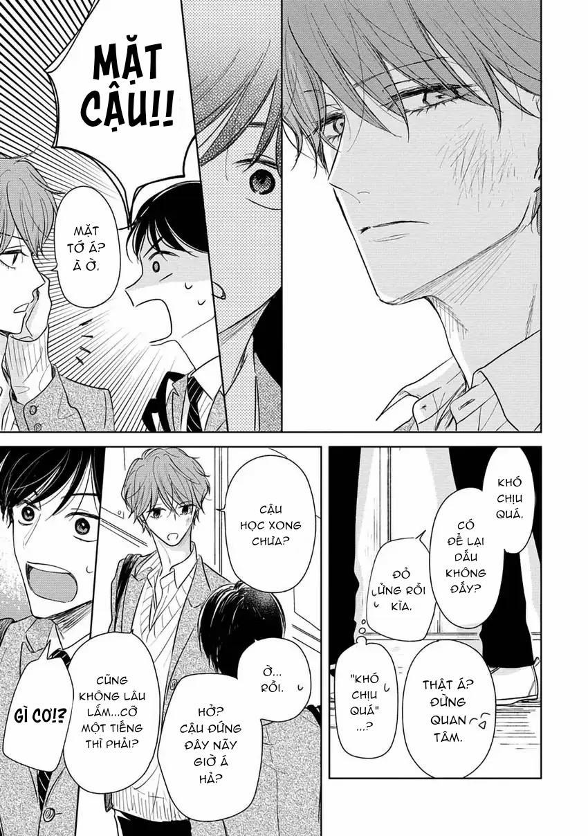 Pittosporum-Shino Makami 2 trang 24