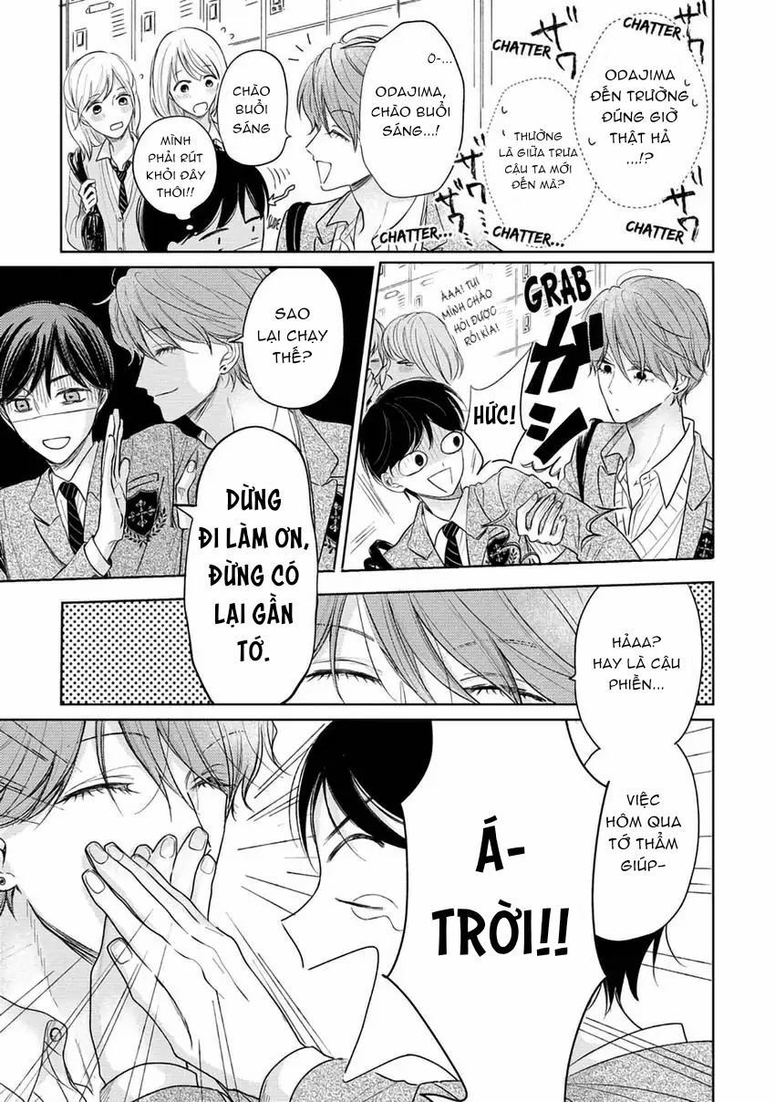 Pittosporum-Shino Makami 2 trang 4