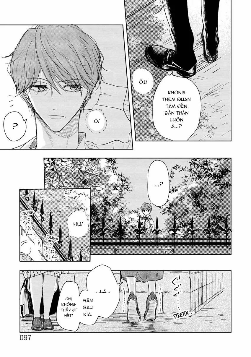 Pittosporum-Shino Makami 3 trang 20