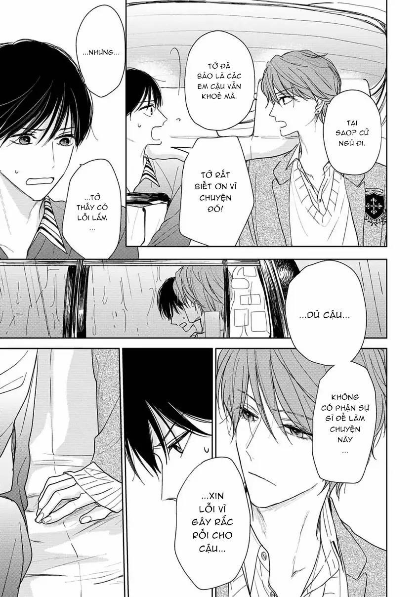 Pittosporum-Shino Makami 4 trang 16