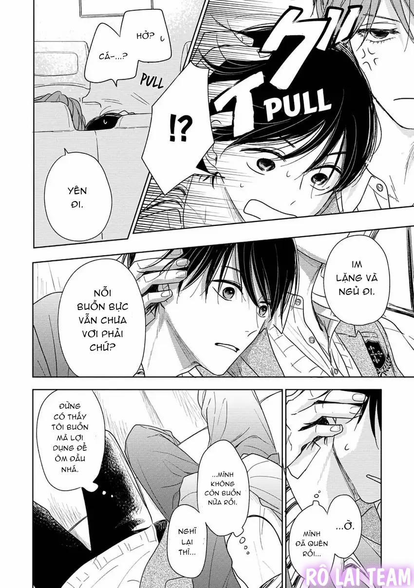 Pittosporum-Shino Makami 4 trang 17