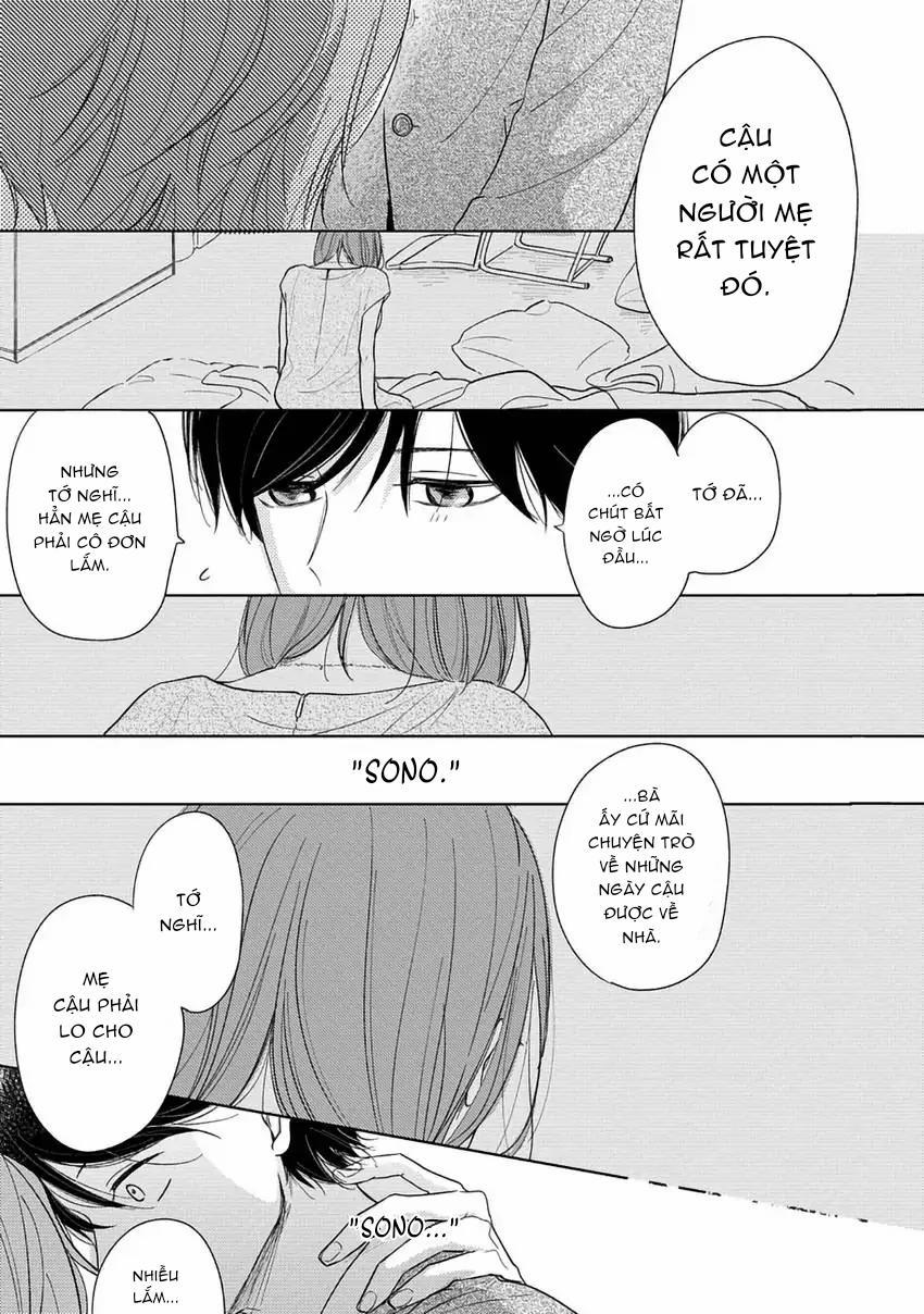 Pittosporum-Shino Makami 4 trang 24