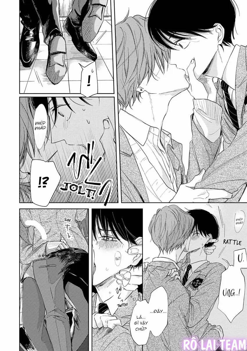 Pittosporum-Shino Makami 5 trang 1