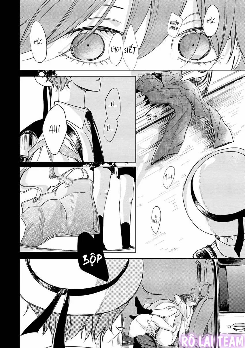 Pittosporum-Shino Makami 5 trang 15