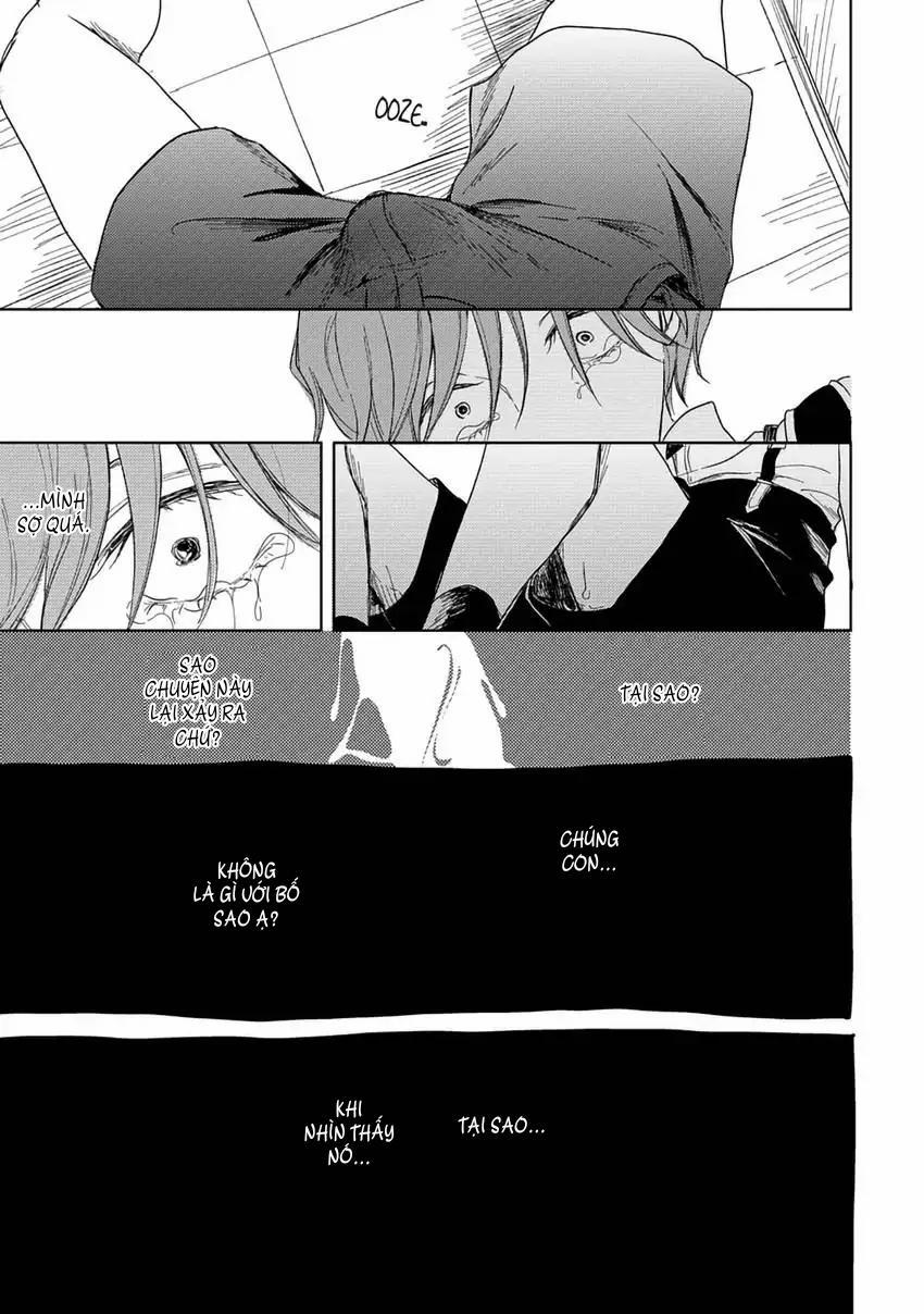 Pittosporum-Shino Makami 5 trang 18