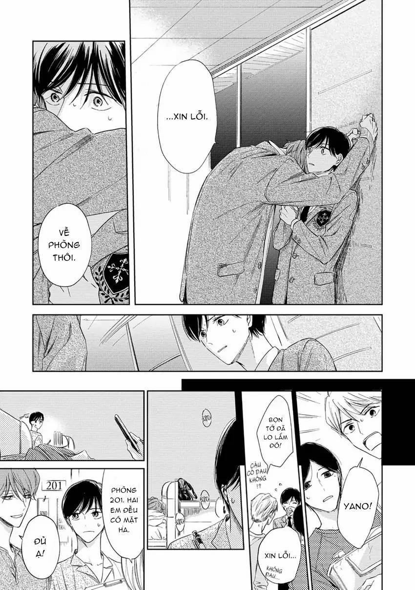 Pittosporum-Shino Makami 5 trang 4