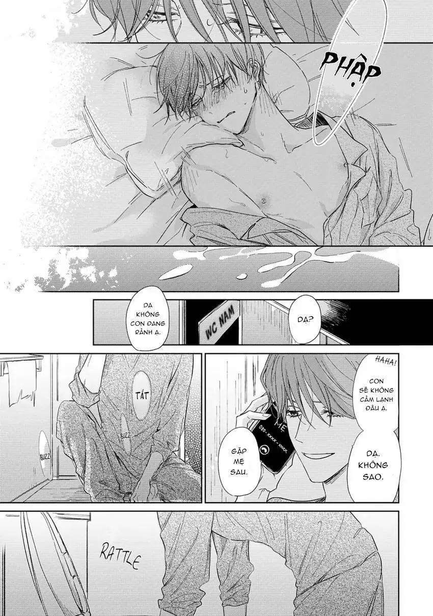 Pittosporum-Shino Makami 5 trang 8