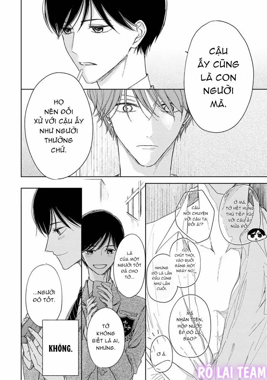 Pittosporum-Shino Makami 6 trang 11