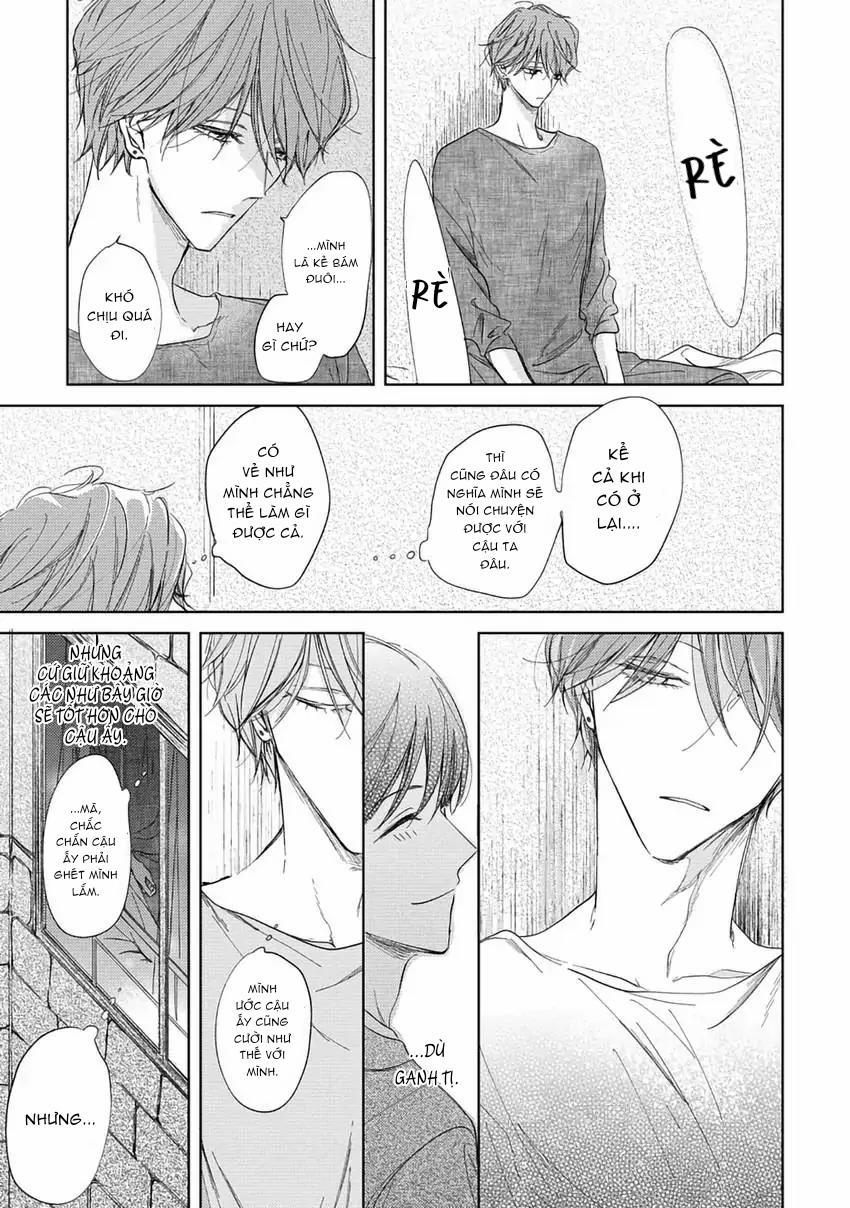 Pittosporum-Shino Makami 6 trang 16