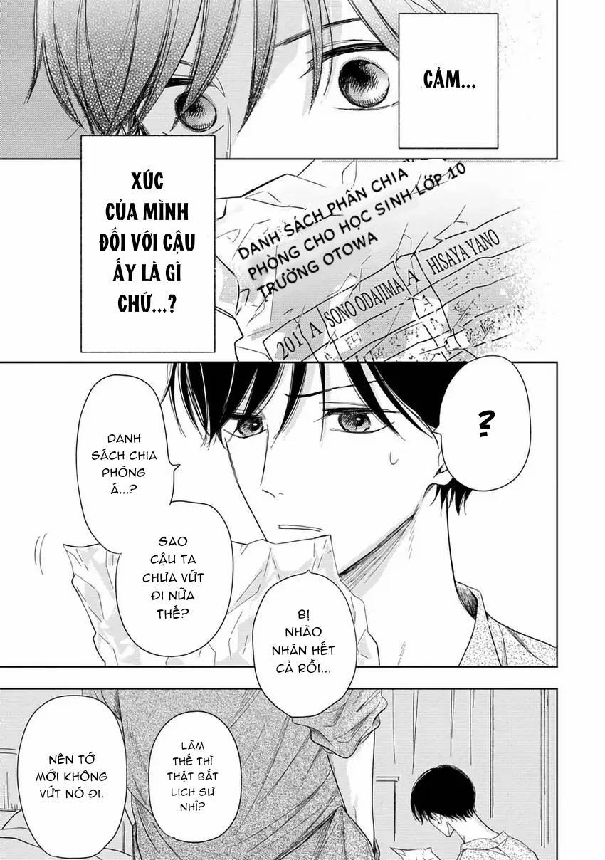 Pittosporum-Shino Makami 6 trang 20