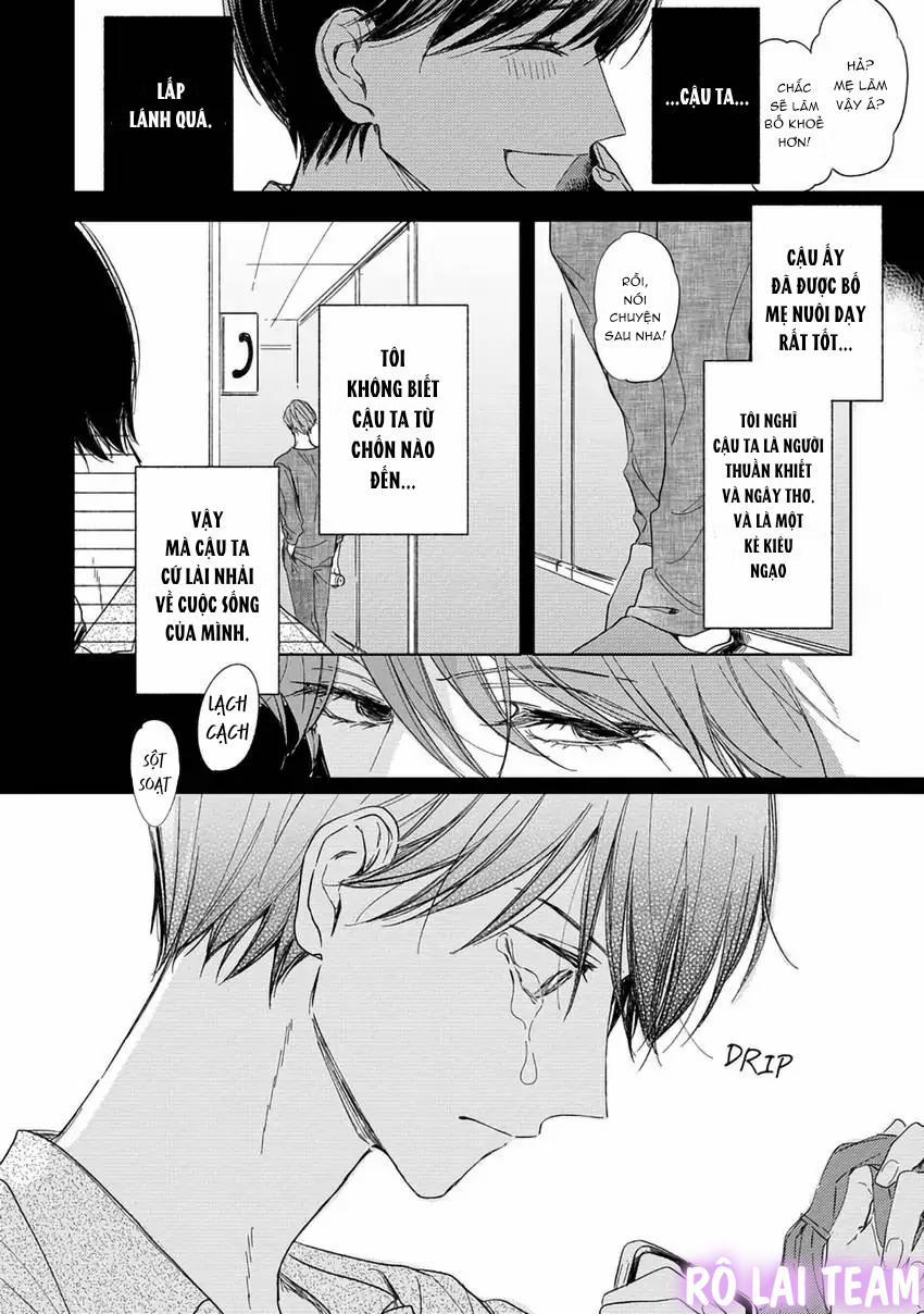 Pittosporum-Shino Makami 6 trang 5