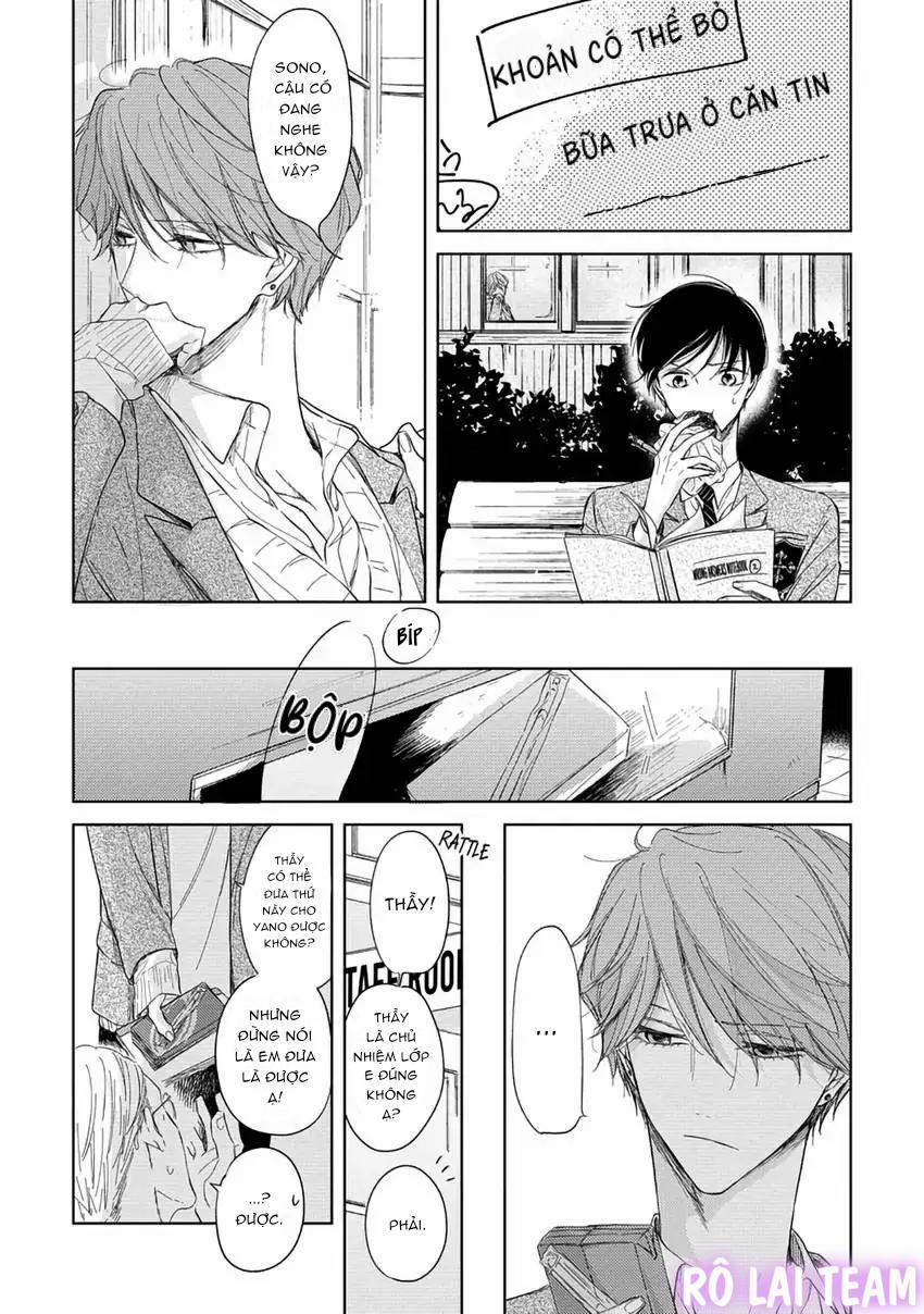 Pittosporum-Shino Makami 6 trang 7