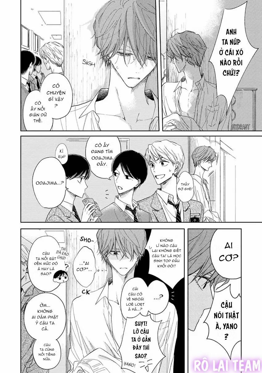 Pittosporum-Shino Makami 6 trang 9