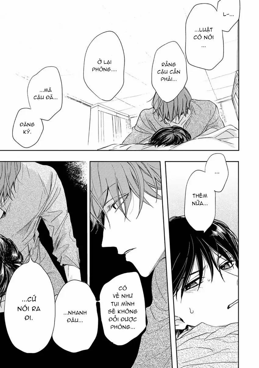 Pittosporum-Shino Makami 7 trang 6