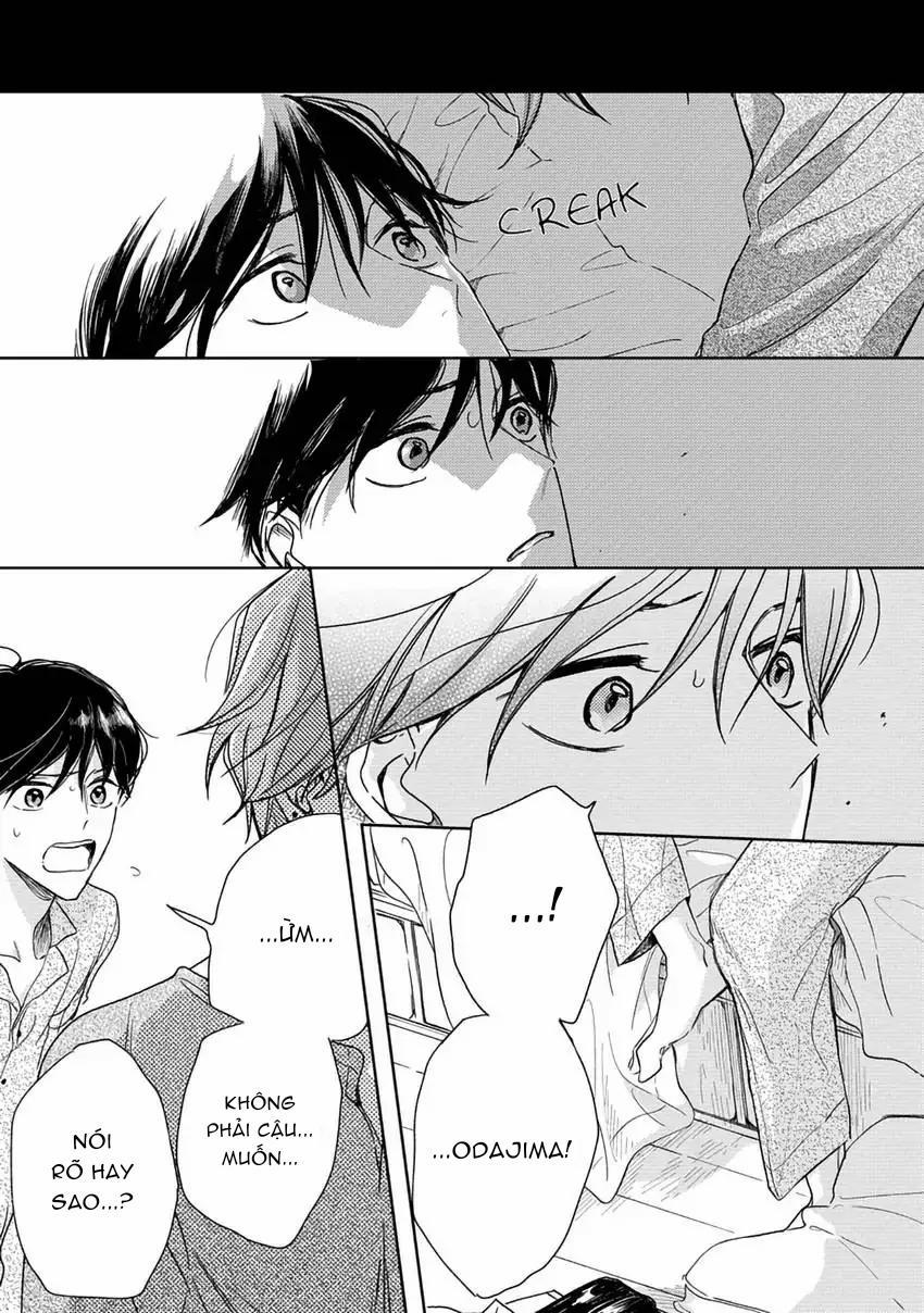 Pittosporum-Shino Makami 7 trang 8