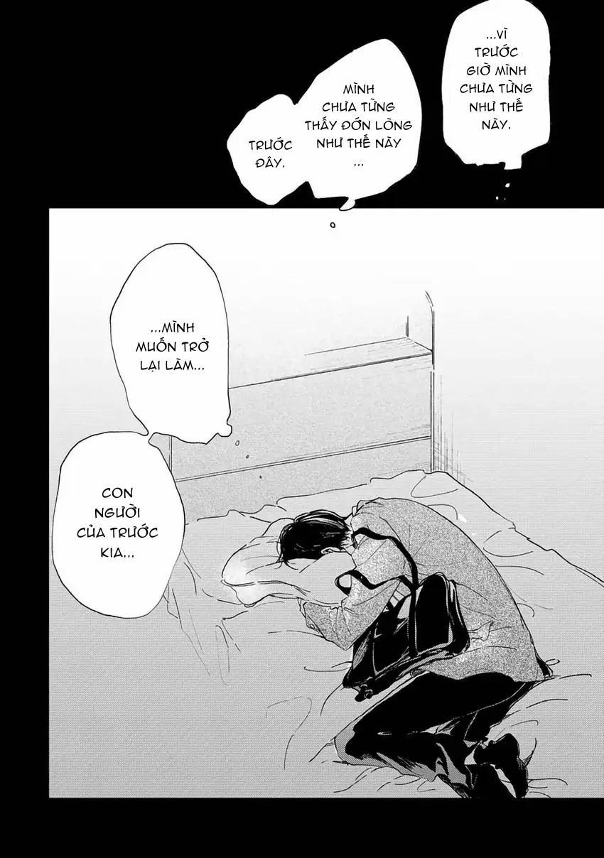 Pittosporum-Shino Makami 8 trang 10