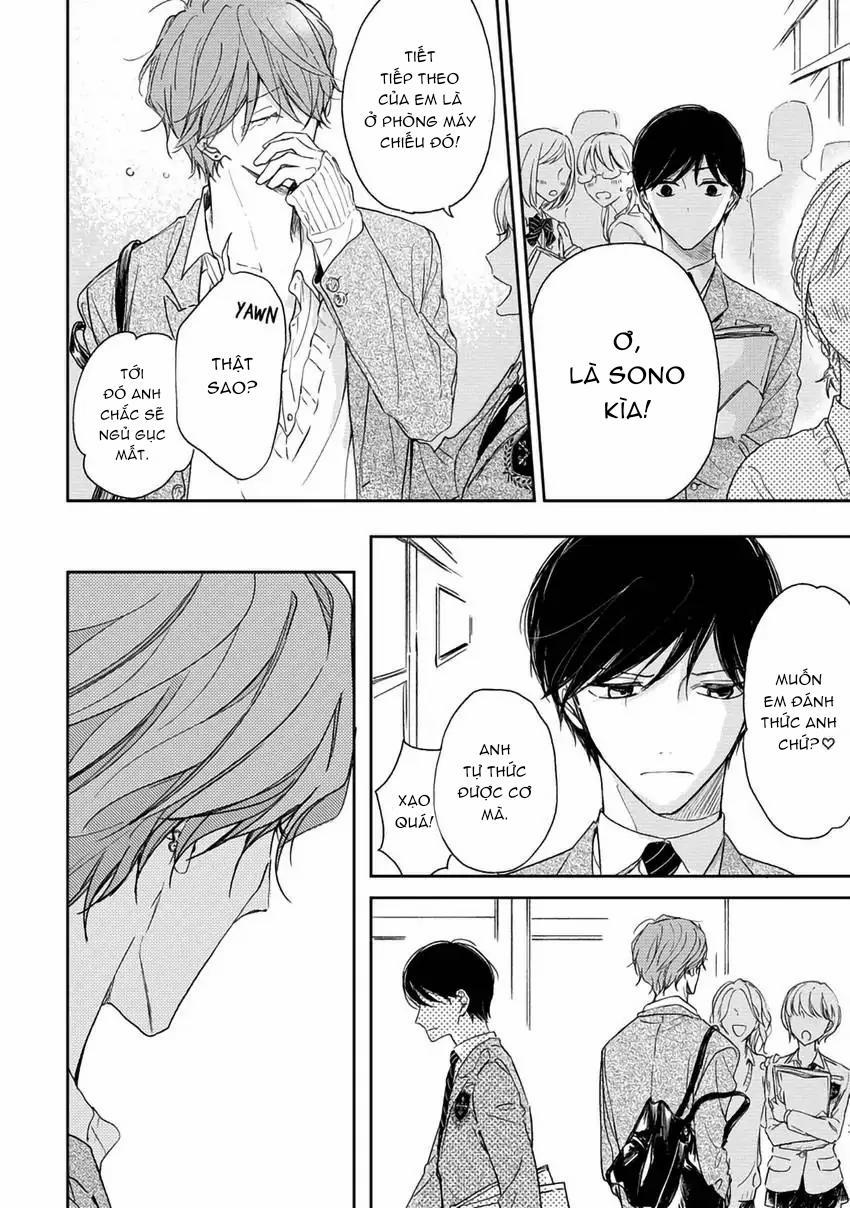 Pittosporum-Shino Makami 8 trang 12