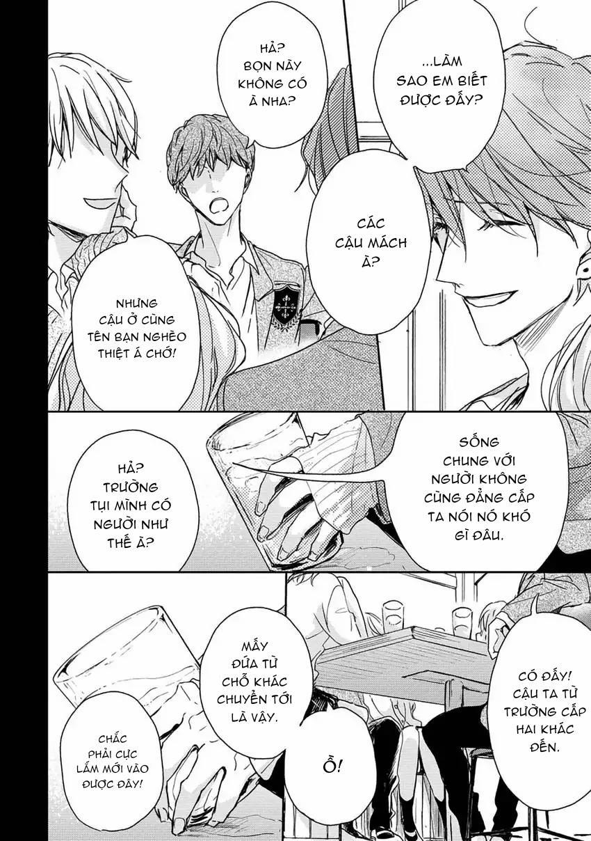 Pittosporum-Shino Makami 8 trang 14