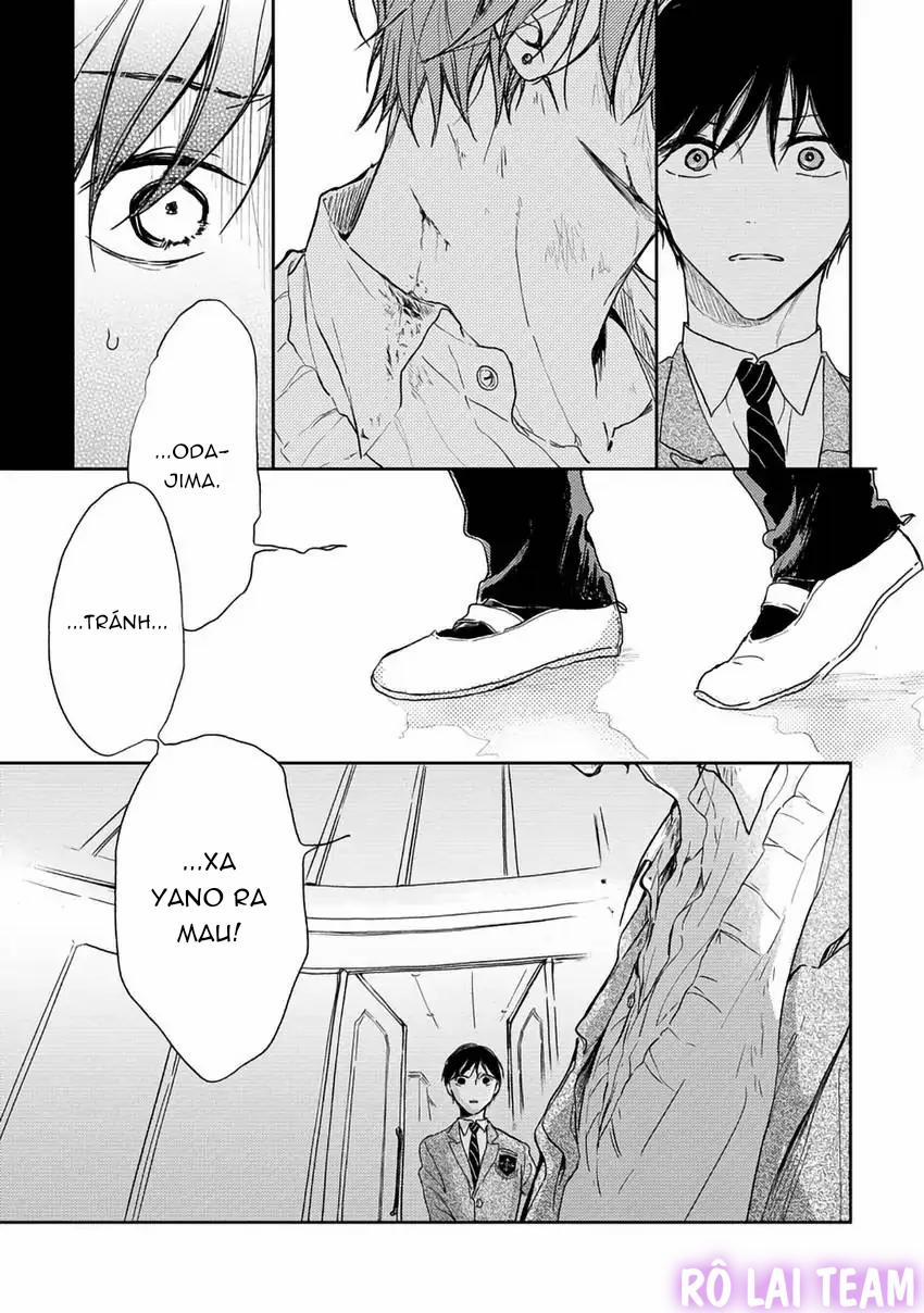 Pittosporum-Shino Makami 8 trang 23