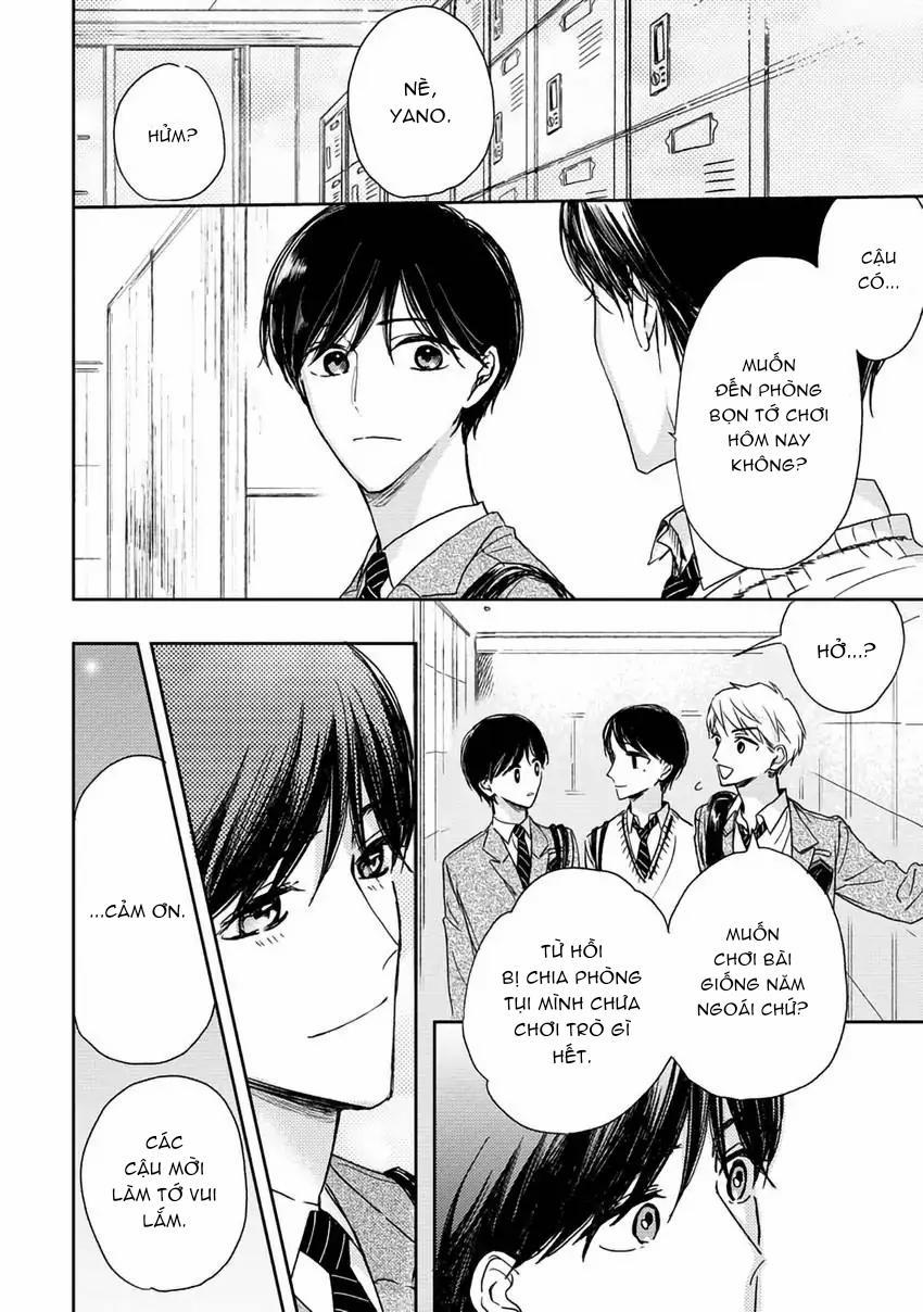 Pittosporum-Shino Makami 8 trang 4