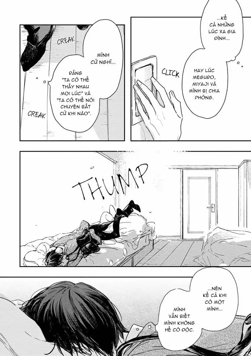 Pittosporum-Shino Makami 8 trang 6