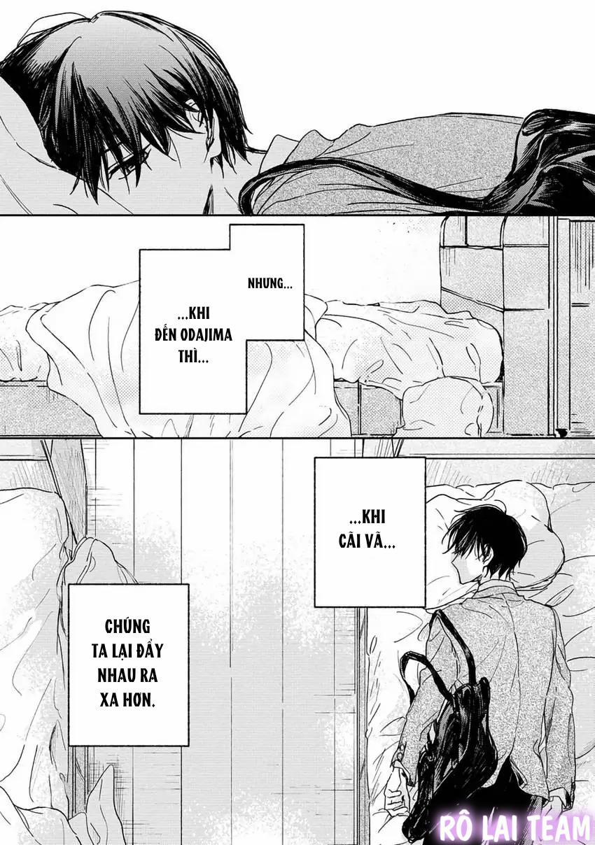 Pittosporum-Shino Makami 8 trang 7