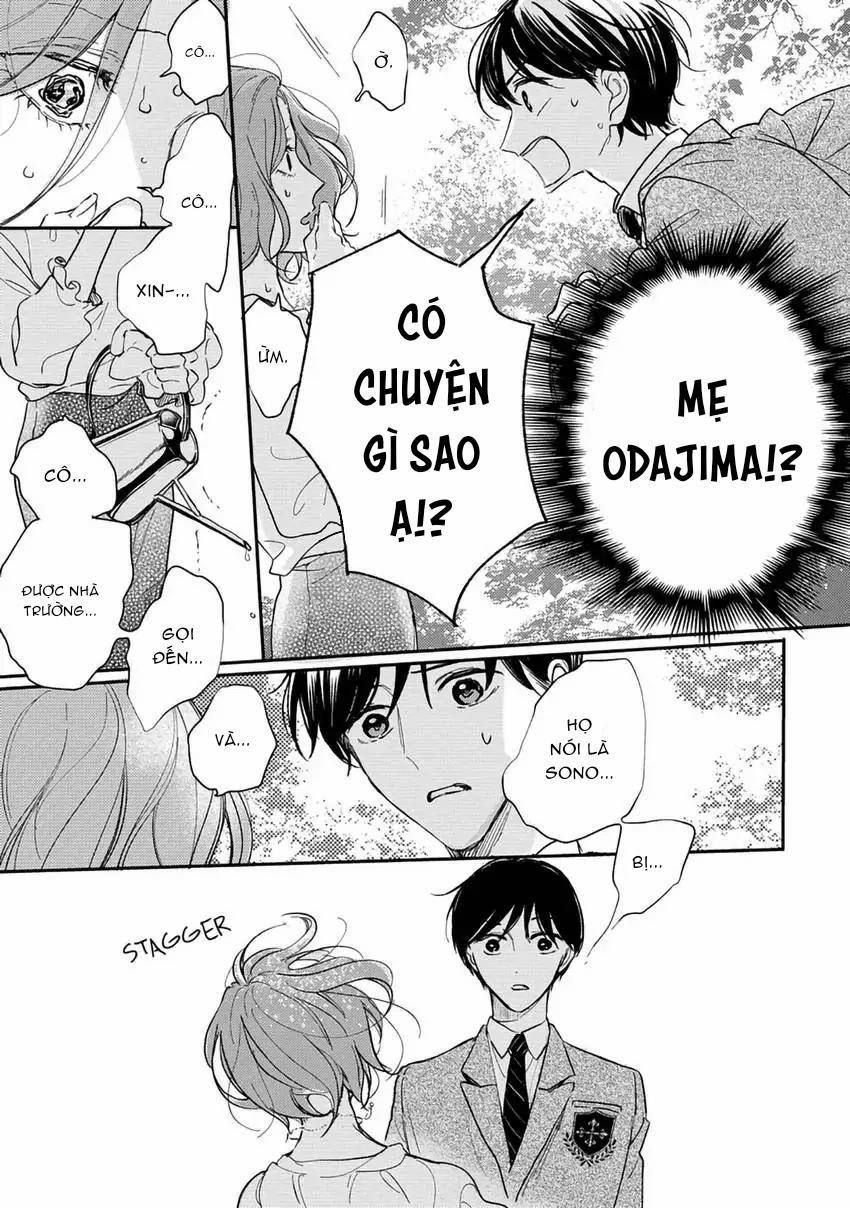 Pittosporum-Shino Makami 9 trang 11