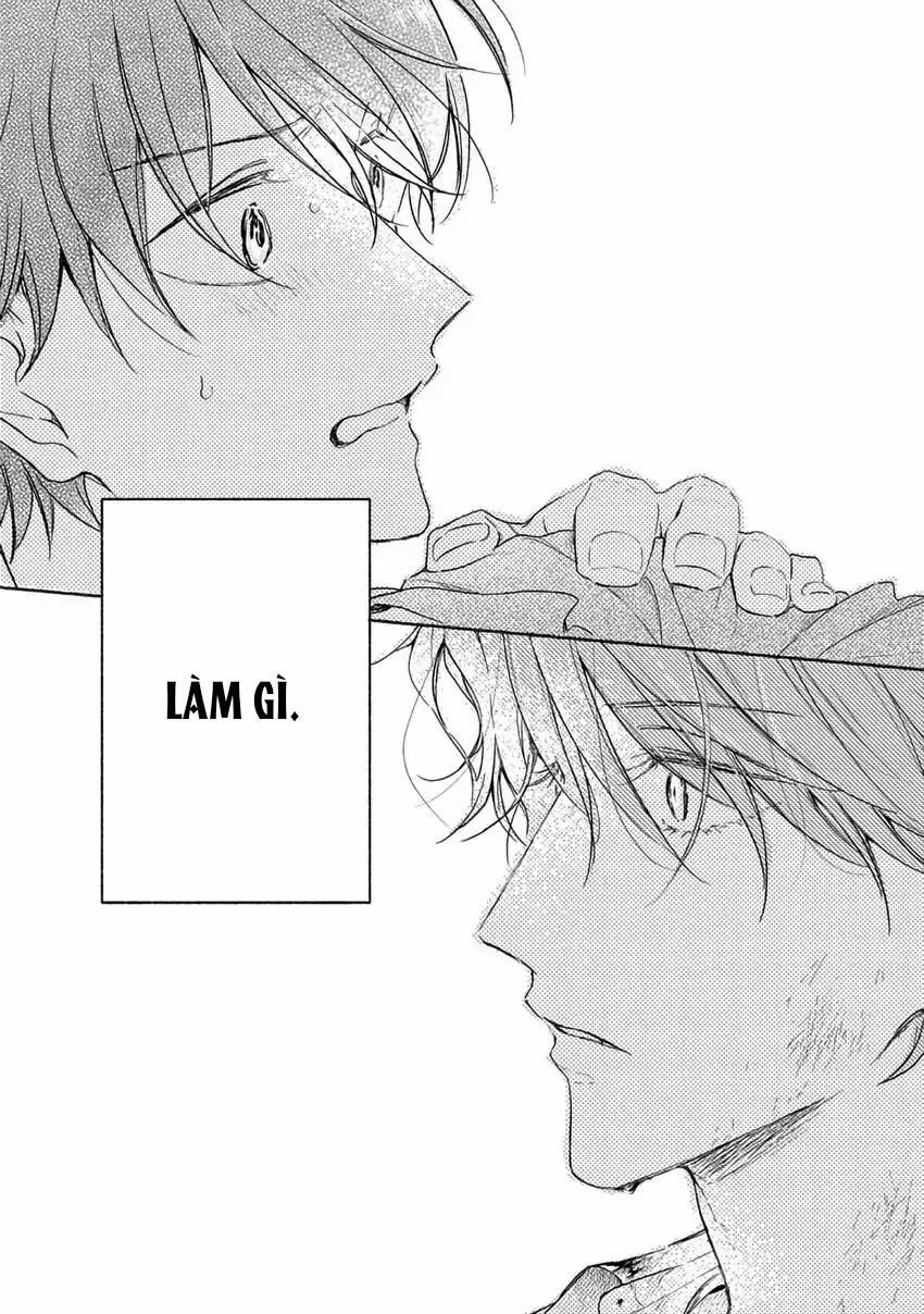 Pittosporum-Shino Makami 9 trang 3