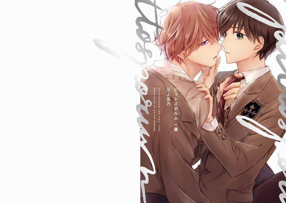 Pittosporum 1 trang 0