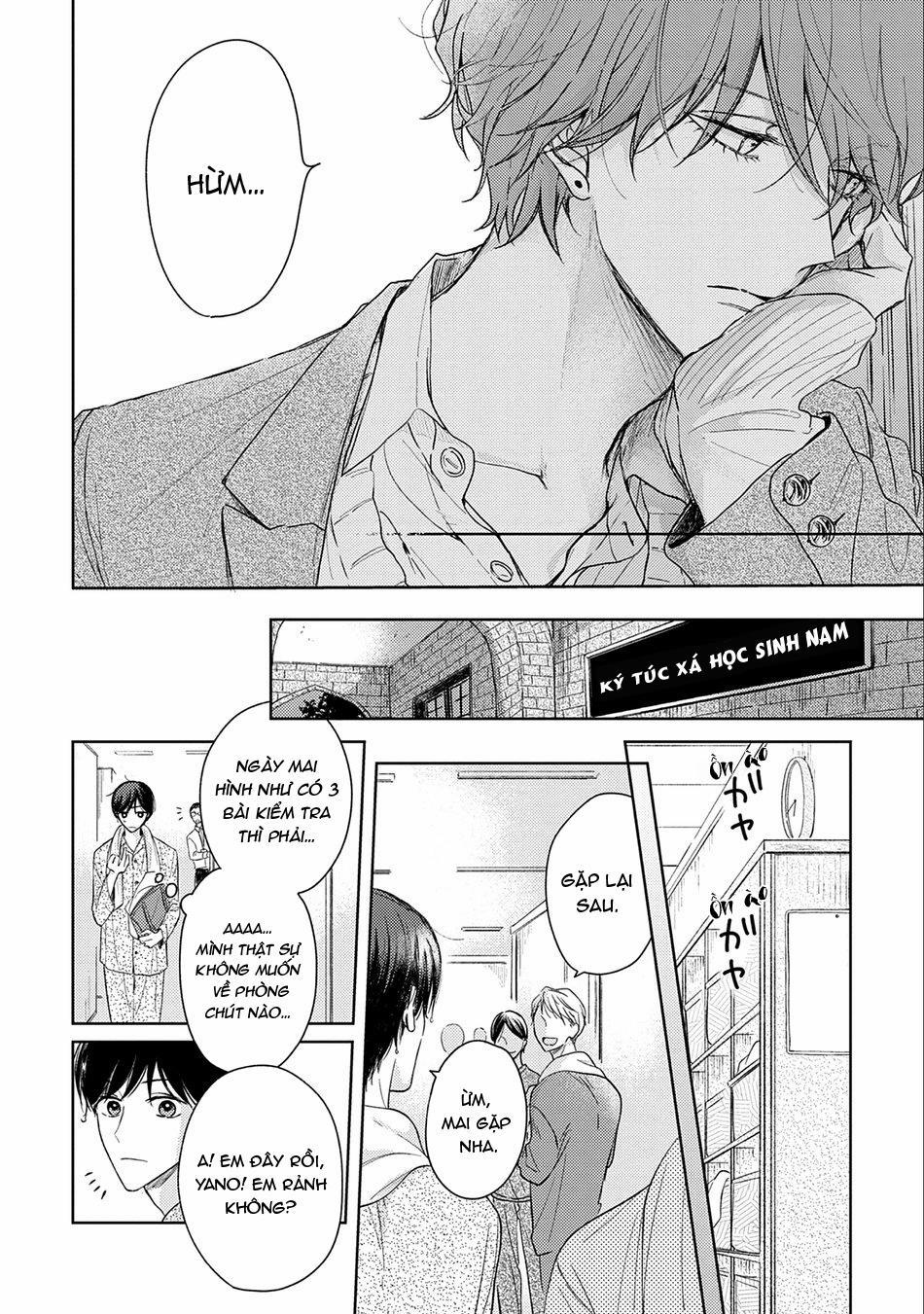 Pittosporum 1 trang 10