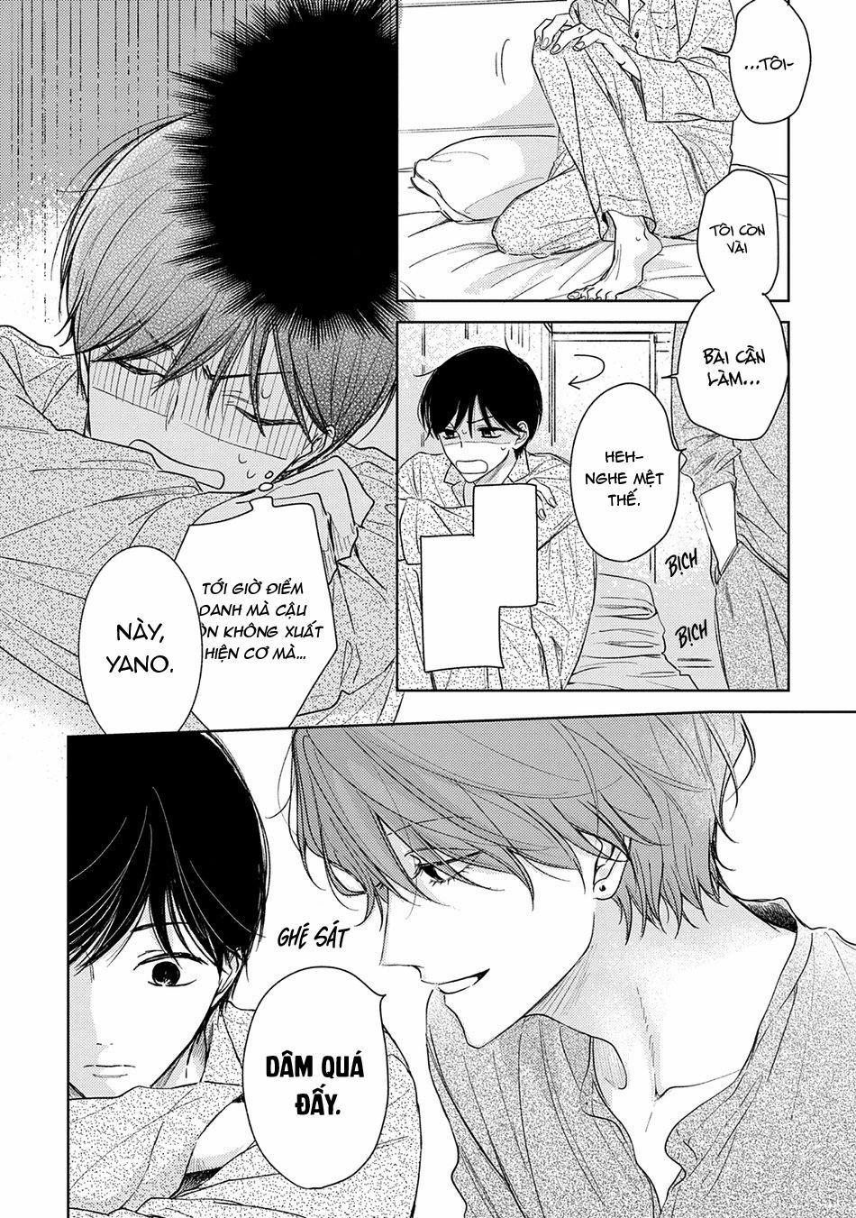 Pittosporum 1 trang 28