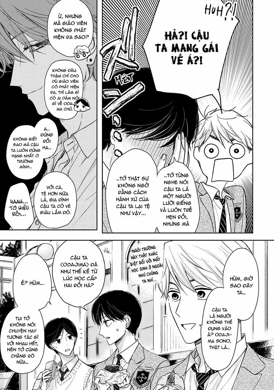 Pittosporum 1 trang 7